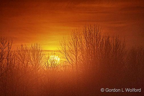 Foggy Sunrise_31809.jpg - Photographed near Smiths Falls, Ontario, Canada.